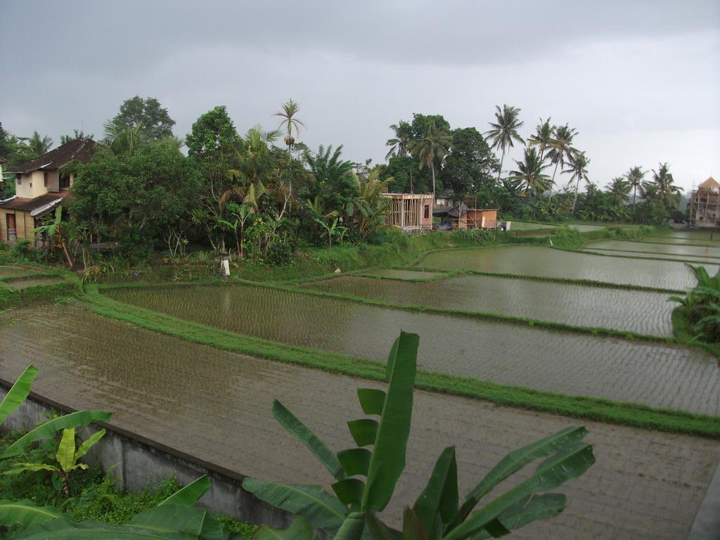 Suwar Bungalows Ubud Buitenkant foto